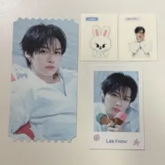 118. Straykids リノ スペシャルチケットセット