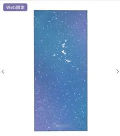 【未使用】 SUKALA　プリントヨギラグ　ピーターパン　LAVA　ディズニー