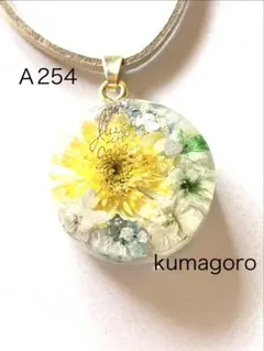 Ayuk様 リクエスト 2点 まとめ商品