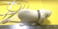 犬　ドッグ　メジャー　1.5m 送料込み❣️