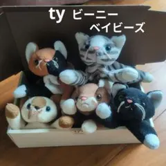 ty ビーニーベイビーズ　猫ちゃん5体セット　アメリカ土産のサムネイル