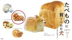 たべものに育てられた犬　ガシャポン　ガチャ　犬