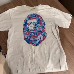 Item thumbnail for item a71b7954-1ccd-4dae-ab2e-6be8db9082cc