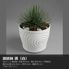 B413 3Dプリンター鉢 4号 内径12cm 波紋 渦 白 植木鉢 作家鉢