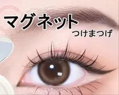 ポメ大好き様 リクエスト 2点 まとめ商品