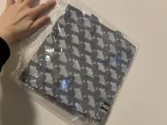 Item thumbnail for item 0c18b6b1-9b12-4550-ad0c-eec57f022676