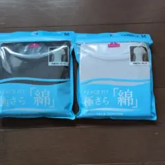 Item thumbnail for item 14342a3d-73d5-4312-a1eb-027e6a02ee0c