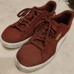 Item thumbnail for item 2cfd5c6d-4d83-4ee0-9ac7-413ff9526d36