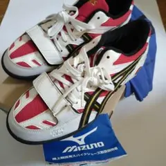 Item thumbnail for item 930af70b-0d1f-4227-a339-65348a3f21b1