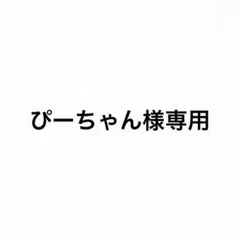 【ぴーちゃん様専用】