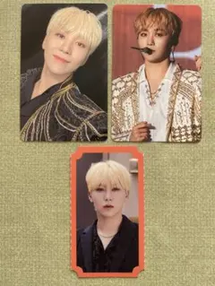 SEVENTEEN DVD〘BE THE SUN〙トレカ スングァン