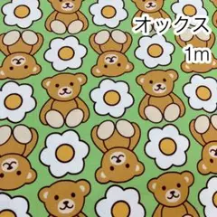 ラスト 1m くまとお花 グリーン オックス