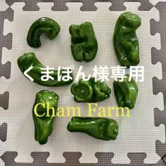 くまぽん様専用