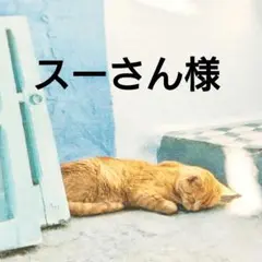 スーさん様 リクエスト 2点 まとめ商品