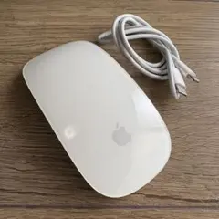 Apple純正 MagicMouse2 USB-C-Lightningケーブル