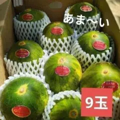 5/23-098、長崎産-パパイヤメロン●９玉●合格品のサムネイル