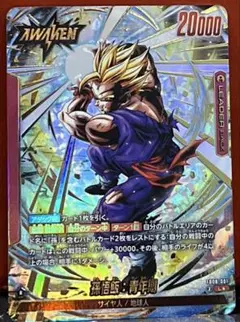 孫悟飯青年期 FB08-001 誇り高き戦闘民族リーダーパラレル
