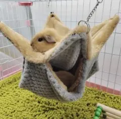 Item thumbnail for item ada714ed-9b08-4fba-b42e-1df413d2dcc7