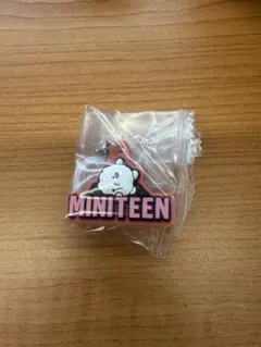 MINITEEN ウジ めじるしアクセサリーガチャ SEVENTEEN