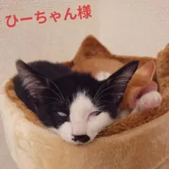 ひーちゃん様専用です！