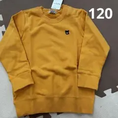 ダブルビー トレーナー 100