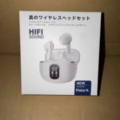 琉球ゴールデンキングス ワイヤレスイヤホン 琉球ゴールデンキングスSYNC-B0001 ワイヤレスイヤホン - メルカリ