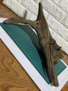 超特大流木 楽天市場】変形 レア 流木/大型 特大 流木 置物 玄関 木