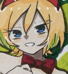 緑*巾様 手描きイラスト ポケモン ハルカ ヒカリ 色紙 イラスト ファン