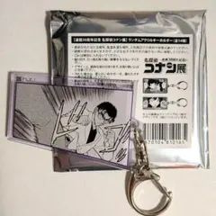 京極真 アクキー