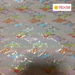 金蘭生地 70✕50