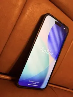 【シャッター消音可】iPhone 15 Pro Max 256GB アメリカ版