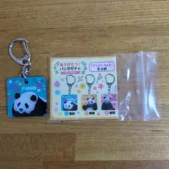 2026年最新】アドベンチャーワールド アクリルキーホルダーの人気