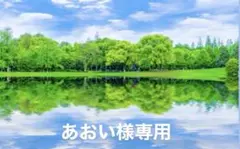 あおい様専用ページ