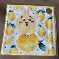 【新品タグ付き】　フェイラー　うさぎ