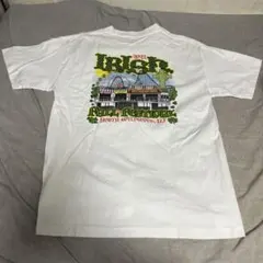 USA製！アメカジ　tシャツのサムネイル