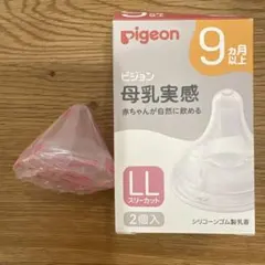 Item thumbnail for item 56e525be-1f67-41a3-954e-16482e815db5