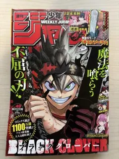 Item thumbnail for item 669e9de6-2335-4152-acce-d5d8d4d2f782