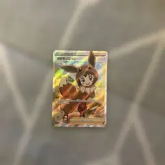 ポケモンごっこ SR（おまけつき！）
