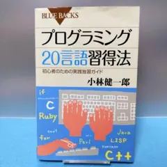 プログラミング20言語習得法 初心者のための実践独習ガイド