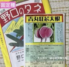 はるひ様 リクエスト 3点 まとめ商品