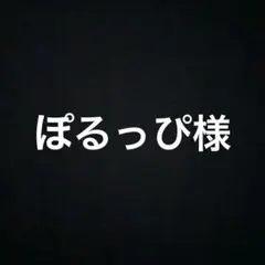 ぽるっぴ様　おまとめ2点