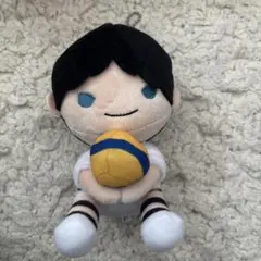 ハイキュー　影山飛雄　ぬいぐるみ
