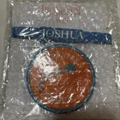 SEVENTEEN BE THE SUN ワッペン　ペンライト　デコ　ジョシュア