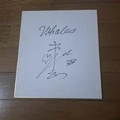 2026年最新】大洋ホエールズ サインの人気アイテム - メルカリ