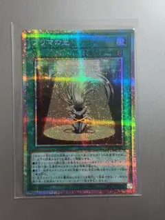 プリマの光