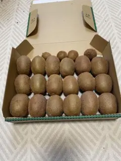 完熟キウイフルーツ　18個入りとおまけ付き♪