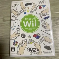 はじめてのwii wii
