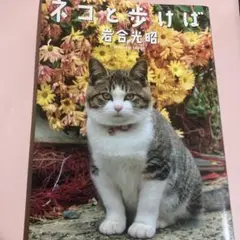 岩合光昭『ネコと歩けば』：ニッポンの猫写真集