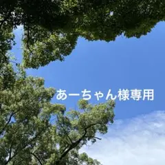 あーちゃん様専用