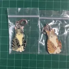 チャームパーツ 猫 キジトラ ２個セット